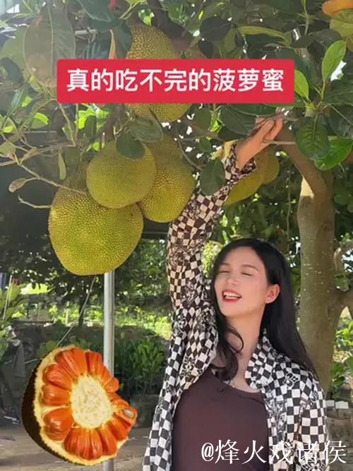 美女销魂菠萝蜜视频 美女销魂菠萝蜜视频